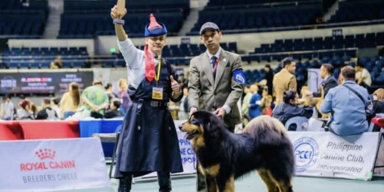 Монгол банхар ази тивийн аварга боллоо