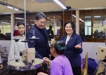 Самнасан ноолуурын экспорт 330 сая ам.долларт хүрэв