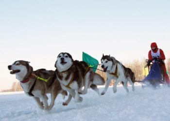 ЦАГ АГААР: Нийт нутгаар хүйтэн байна
