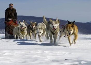 ЦАГ АГААР: Ихэнх нутгаар тогтуун, хүйтний эрч бага зэрэг суларна