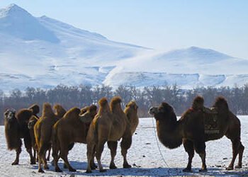 ЦАГ АГААР: Нийт нутгаар тогтуун, нутгийн баруун хэсгээр хүйтний эрч бага зэрэг суларна