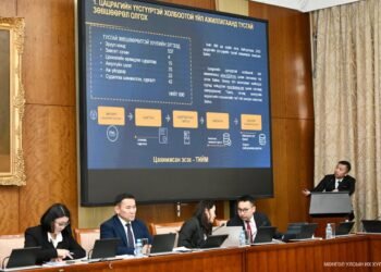 ХЭЛЭЛЦҮҮЛЭГ: 250 тусгай зөвшөөрлийг 205 болгон цөөлөхөөр тусгажээ