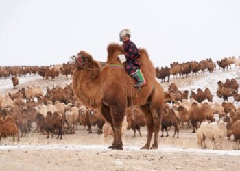 ЦАГ АГААР: Ихэнх нутгаар тогтуун байна