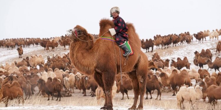 ЦАГ АГААР: Ихэнх нутгаар тогтуун байна