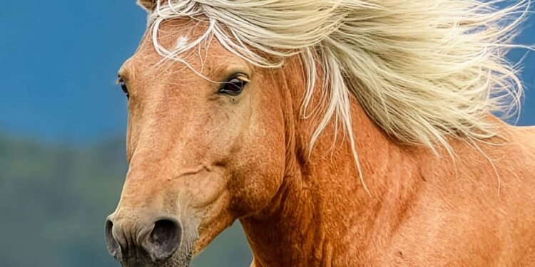 ХҮМҮҮН.МН: Хотол түмнээрээ сар шинэдээ сайхан шинэлээрэй!