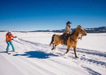 ЦАГ АГААР: Ихэнх нутгаар тогтуун, хүйтний эрч суларна