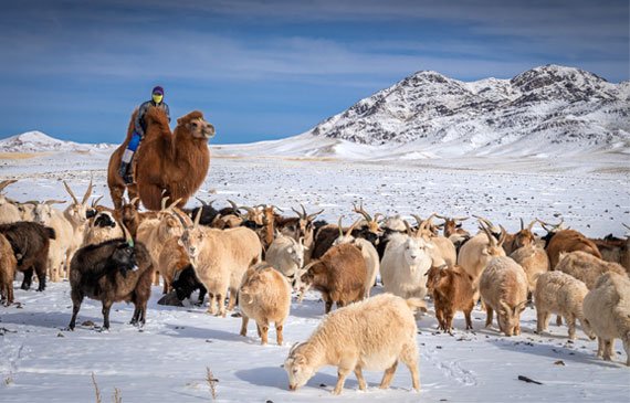 ЦАГ АГААР: Нийт нутгаар өдөртөө хүйтний эрч суларна