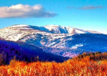 ЦАГ АГААР: Алтай, Хангай, Хөвсгөл, Хэнтийн уулархаг нутгаар цас орно