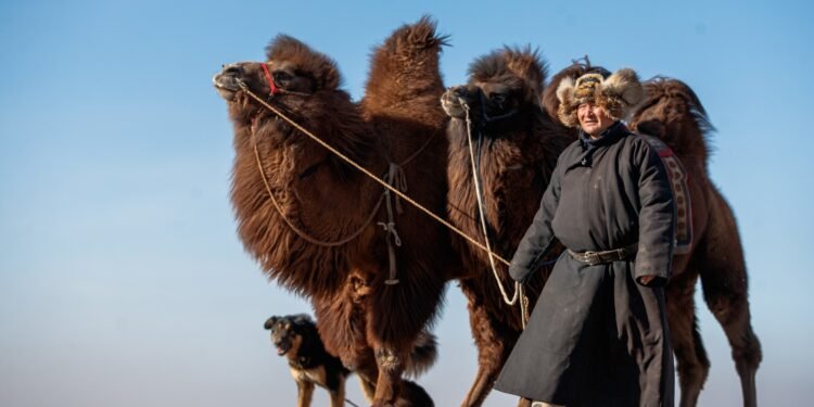 ЦАГ АГААР: Хүйтний эрч эрс чангарч, хүчтэй салхи шуургатай байна