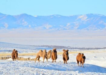 ЦАГ АГААР: Алтайн уулархаг нутгаар ялимгүй цас орно